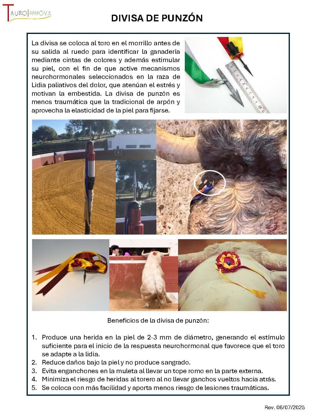 Ficha técnica: Divisa de punzón