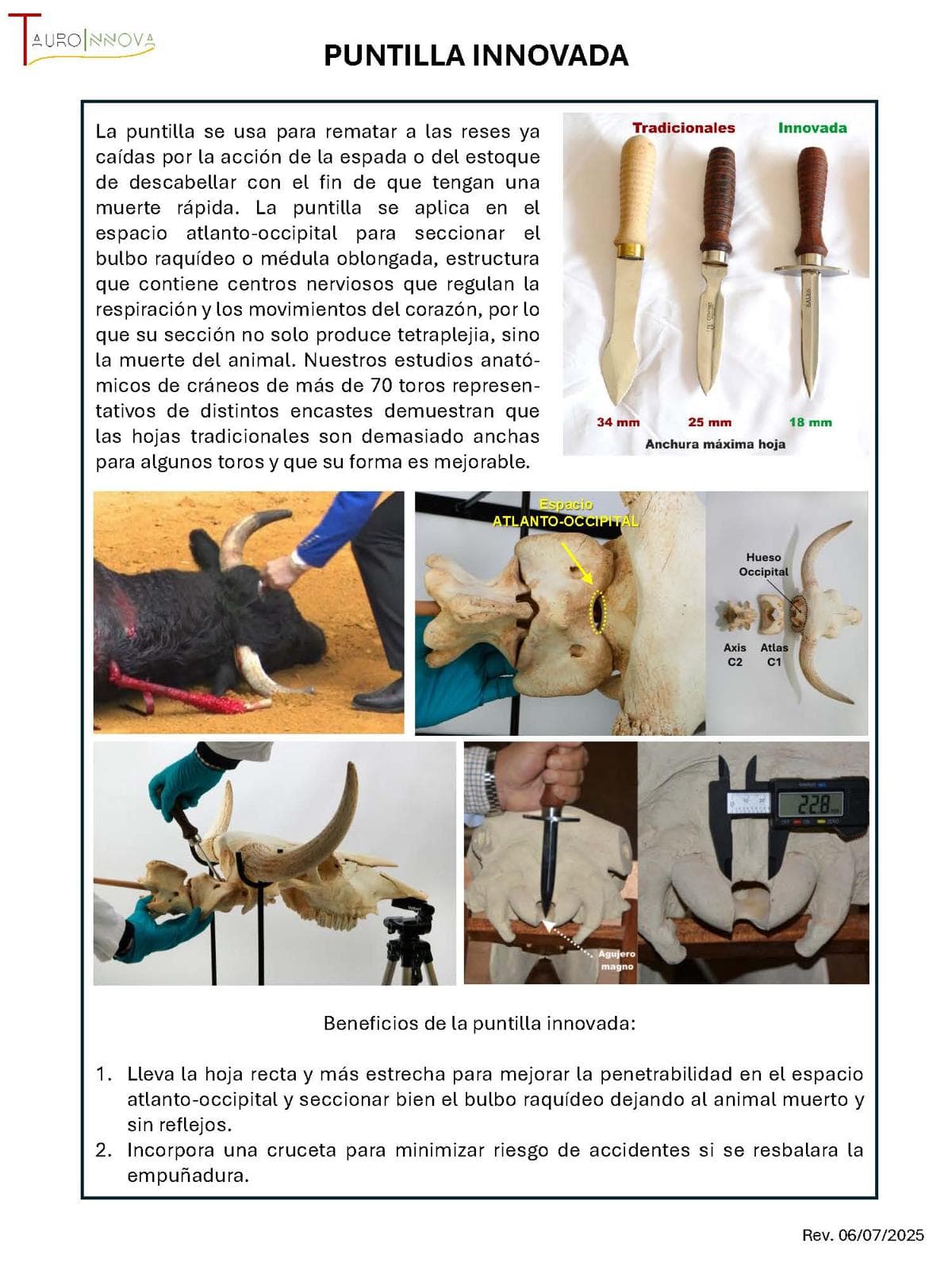 Ficha técnica: Puntilla innovada