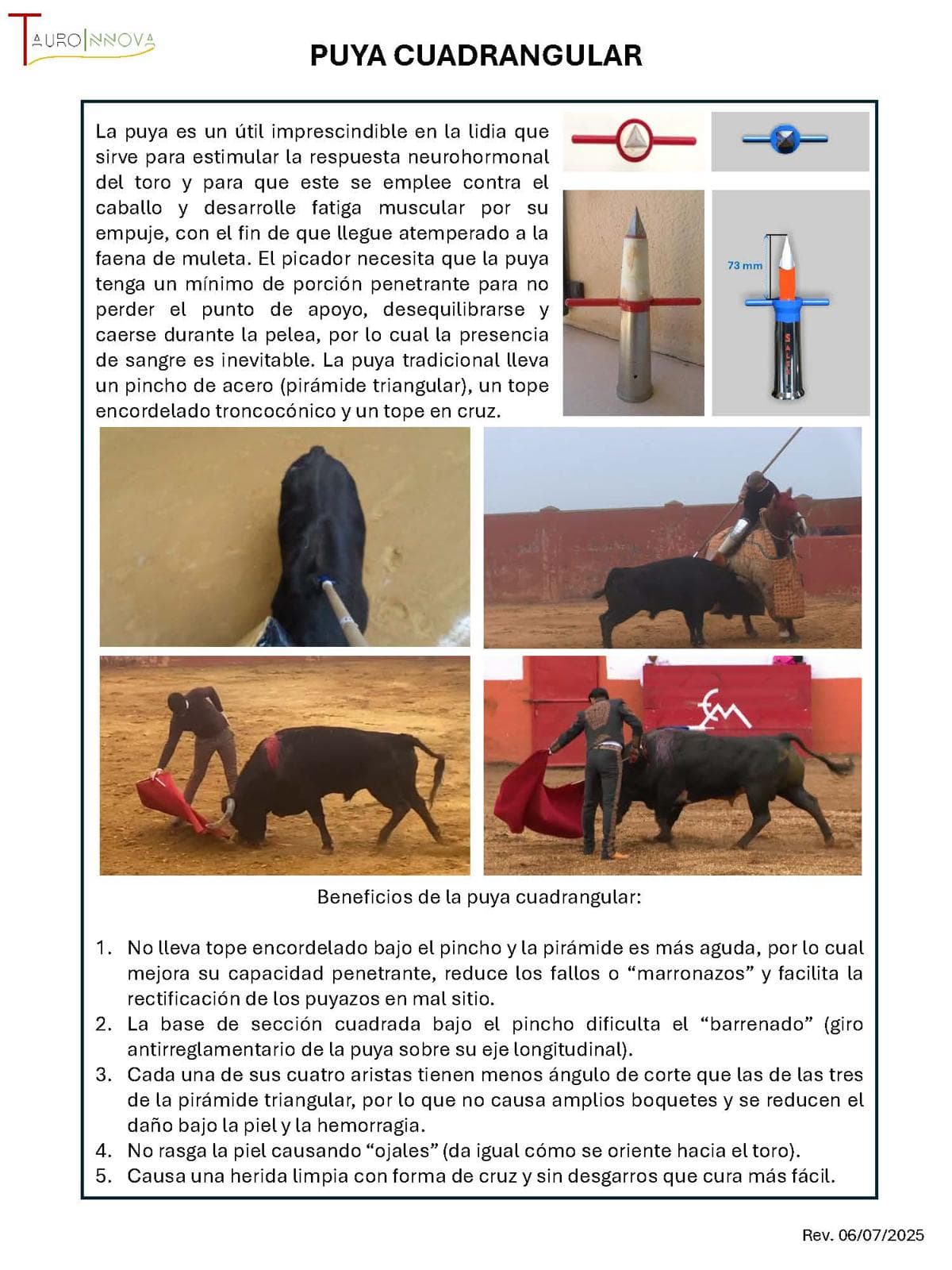Ficha técnica: Puya cuadrangular