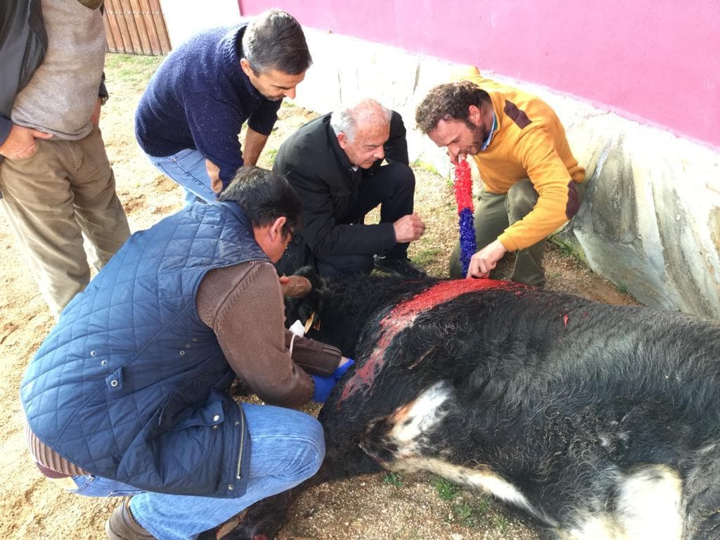 Pruebas de la divisa de punzón en campo